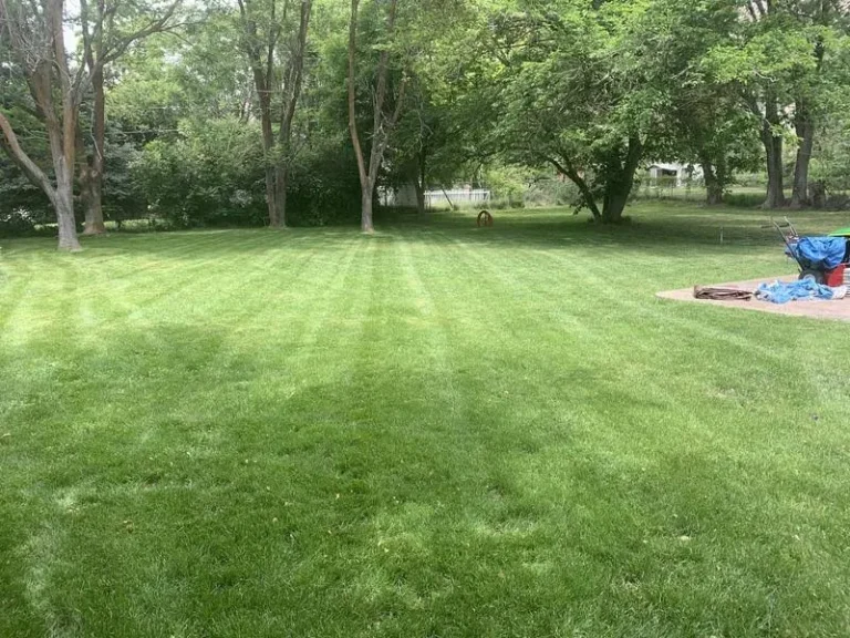 S100 Lawn Tractor