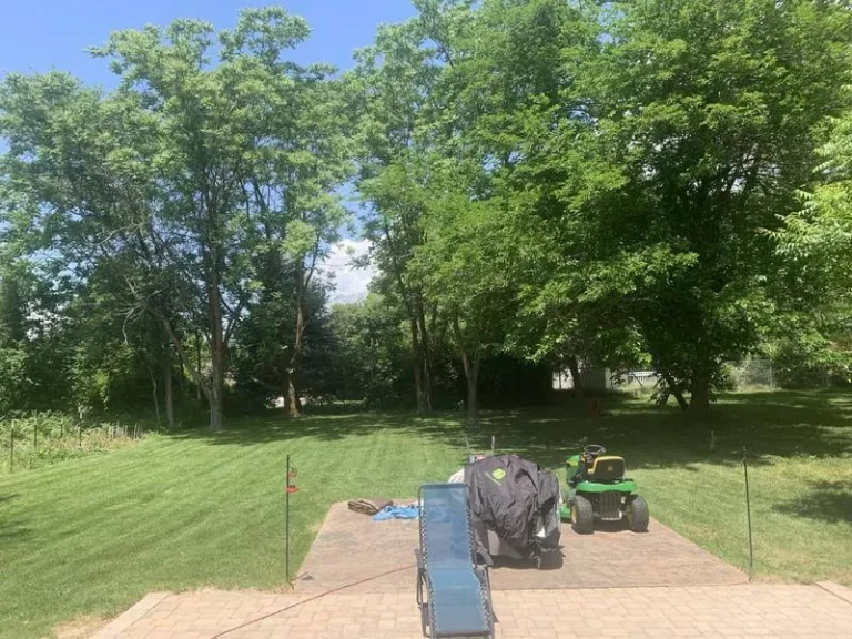 S100 Lawn Tractor