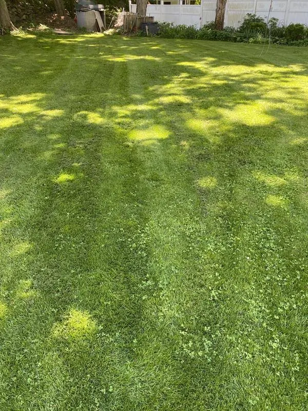 S100 Lawn Tractor