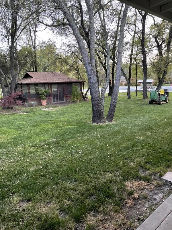 S100 Lawn Tractor